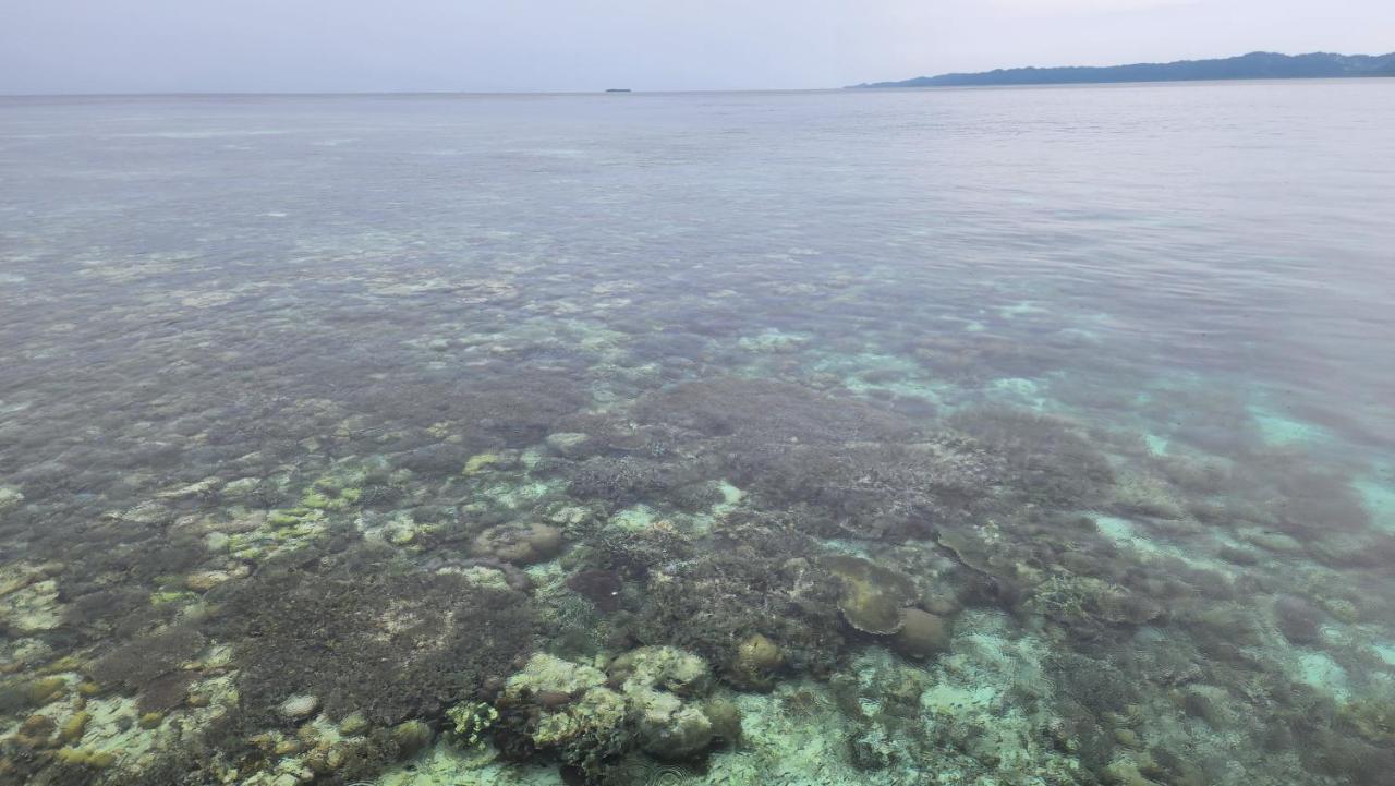 Terimakasih Homestay Pulau Mansuar Ngoại thất bức ảnh